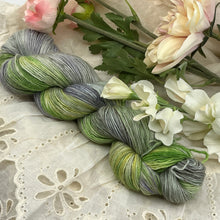 Load image into Gallery viewer, Water Lily