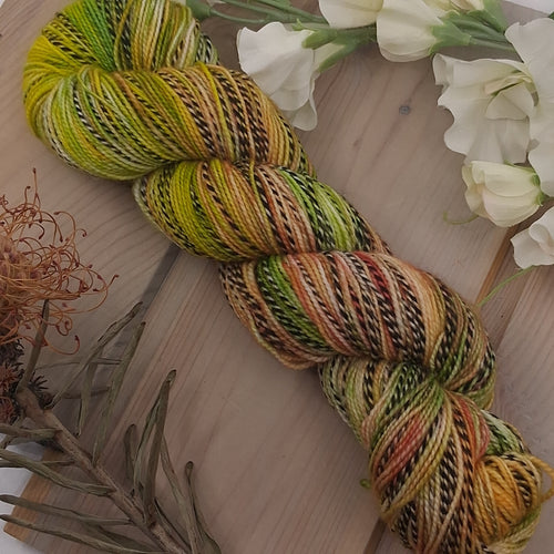 Mixed Melons (Zebra)