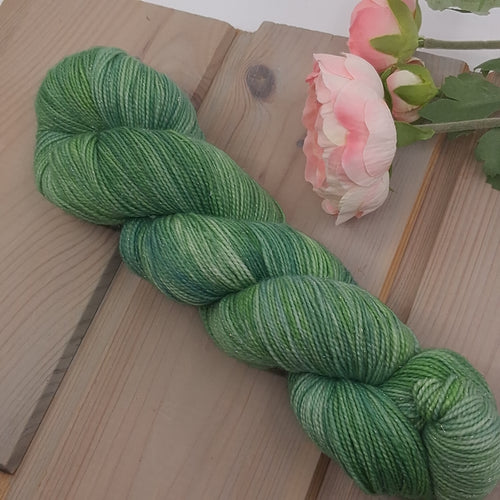 Jalapeño (Starry Sock)